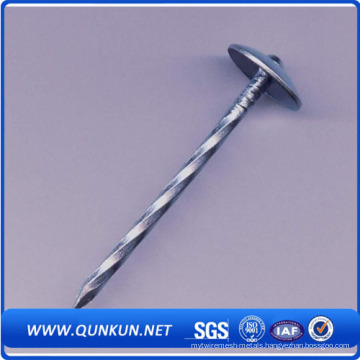 Common Nails Factory Low Price Roof Nail with Umbrella Head